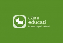 Targu Mures - Dresaj canin Tg Mures - Romulus Toma