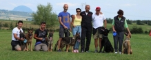 Chitila - Smart Dogs Club Chitila