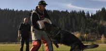 Pitesti - Smart Dogs Club Pitesti