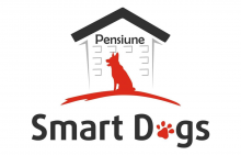 Sibiu - Dresaj Canin Sibiu Smart Dogs Club