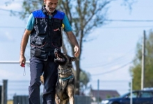 Valenii de Munte - Smart Dogs Club Valenii de Munte